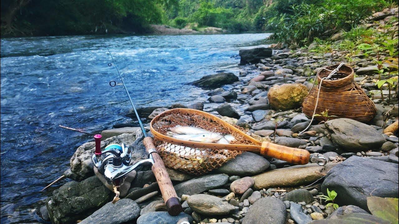 Cần câu cá suối nào tốt nhất, kỹ thuật câu như thế nào để ăn 100% Đồ