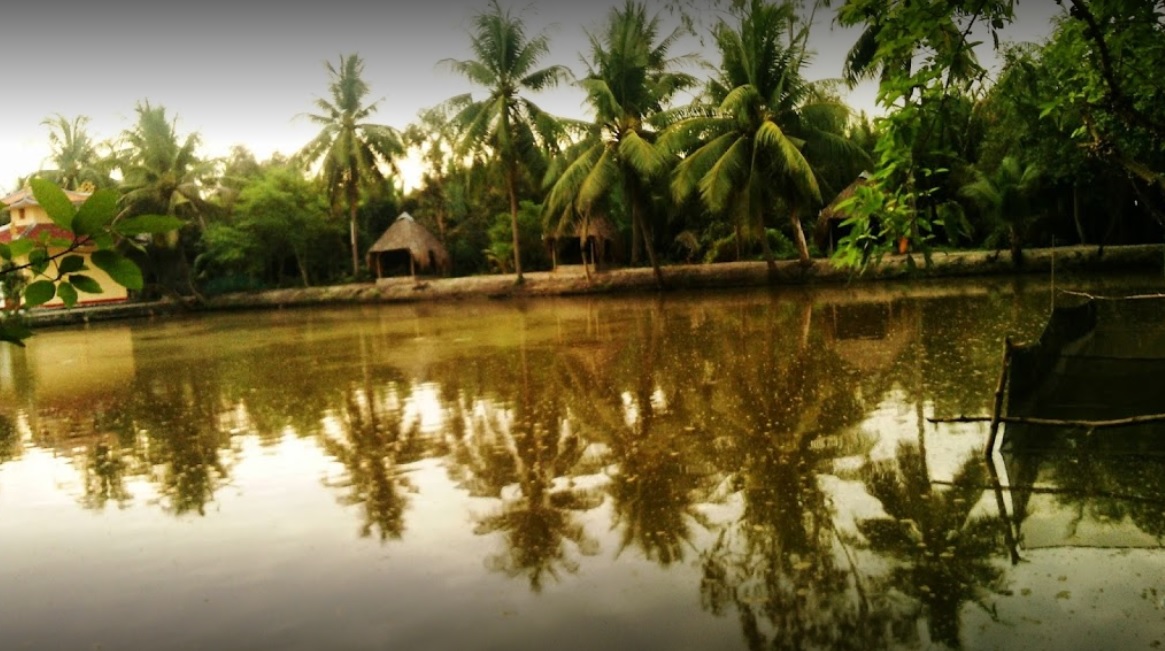 Hồ Câu Cá Giải Trí Vườn Dừa