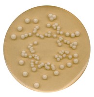 tsc-tryptose-sulfite-cycloserine-agar-base