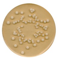 potato-dextrose-agar-for-microbiology