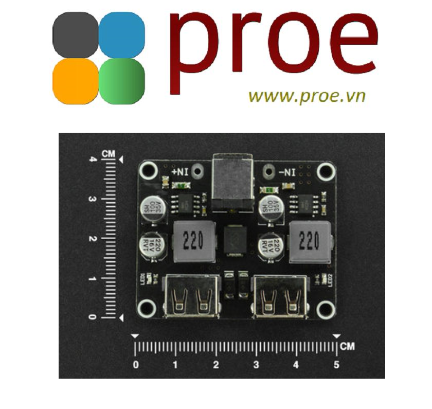 DFR0849 2-way Fast Charge Buck Module (Compatible with Raspberry Pi 4B ...