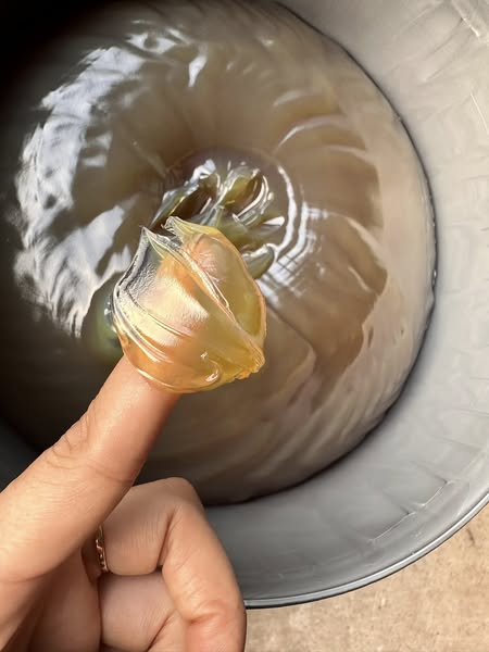 5 loại mỡ phổ biến cho xe tải – Bạn nên chọn loại nào?