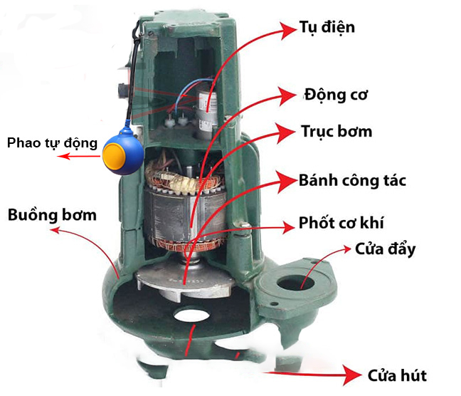 Cấu tạo của máy bơm chim·