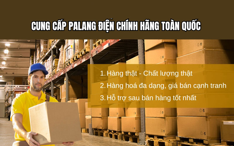 Đơn vị cung cấp pa lăng điện chính hãng