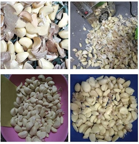 Máy bóc vỏ hành tỏi JC-002