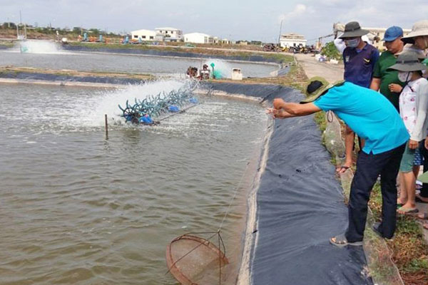 Hệ thống nuôi trồng thủy sản