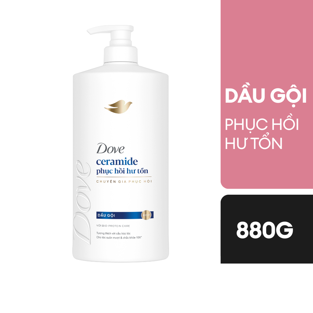 Dầu gội Dove Ceramide phục hồi hư tổn 640G/ 880G/ 1.4KG