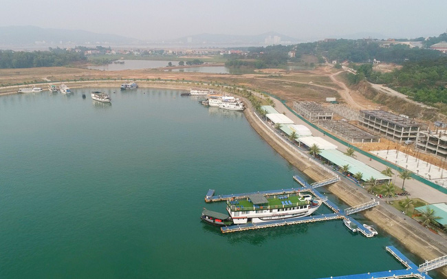 SỐT ĐẤT VÂN ĐỒN, XUẤT HIỆN ĐƠN TỐ GIÁC 