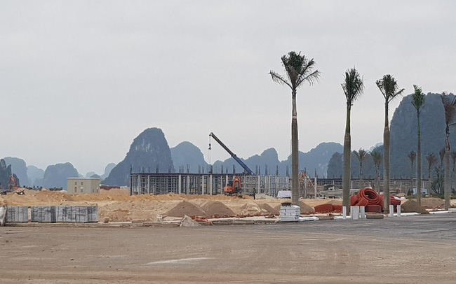 VÂN ĐỒN ‘MÃ HỒI’ GIÁ ĐẤT