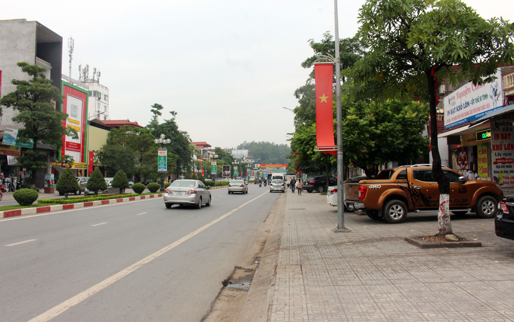 T.P Thái Nguyên: Đầu tư trên 10,6 tỷ đồng cải tạo, thay thế cây xanh