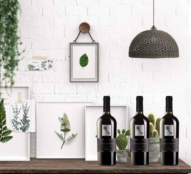 RƯỢU VANG CHILE DESCUBRIDORES GRAN RESERVA