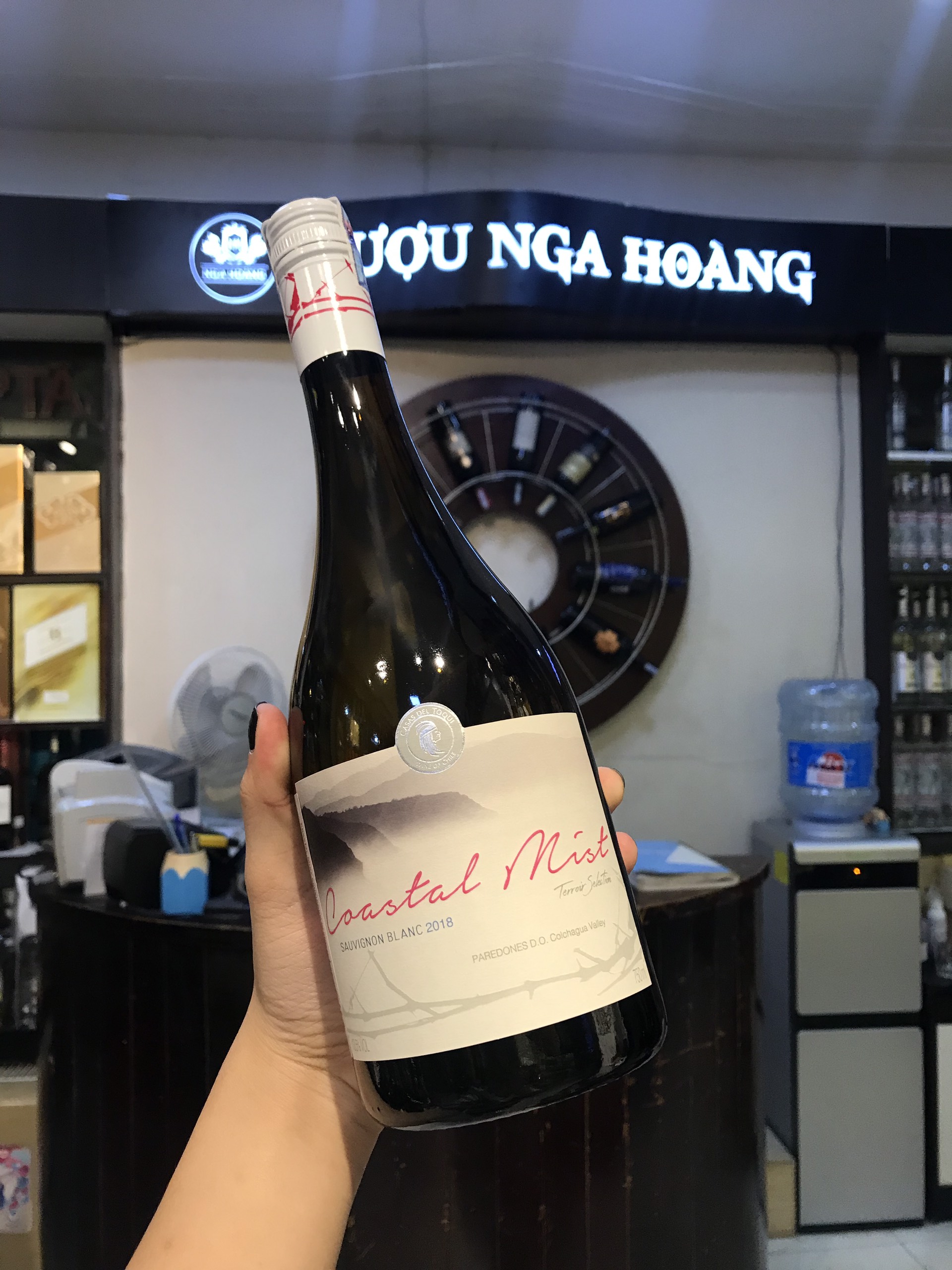 RƯỢU VANG COASTAL MIST (VANG CHILE)