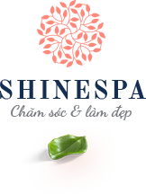 logo Shine Spa