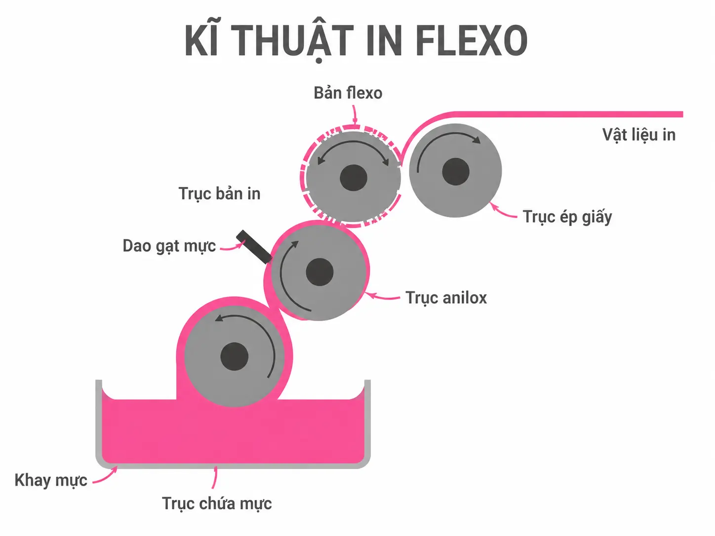 ki thuat in flexo