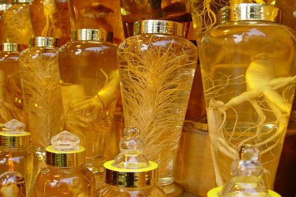 Cách sử dụng sâm tươi Hàn Quốc (1) Cách sử dụng sâm tươi Hàn Quốc (1)
