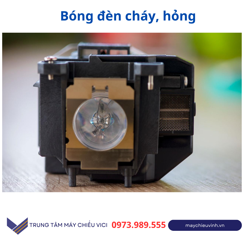 thay bóng đèn máy chiếu tại Hà Nội giá rẻ