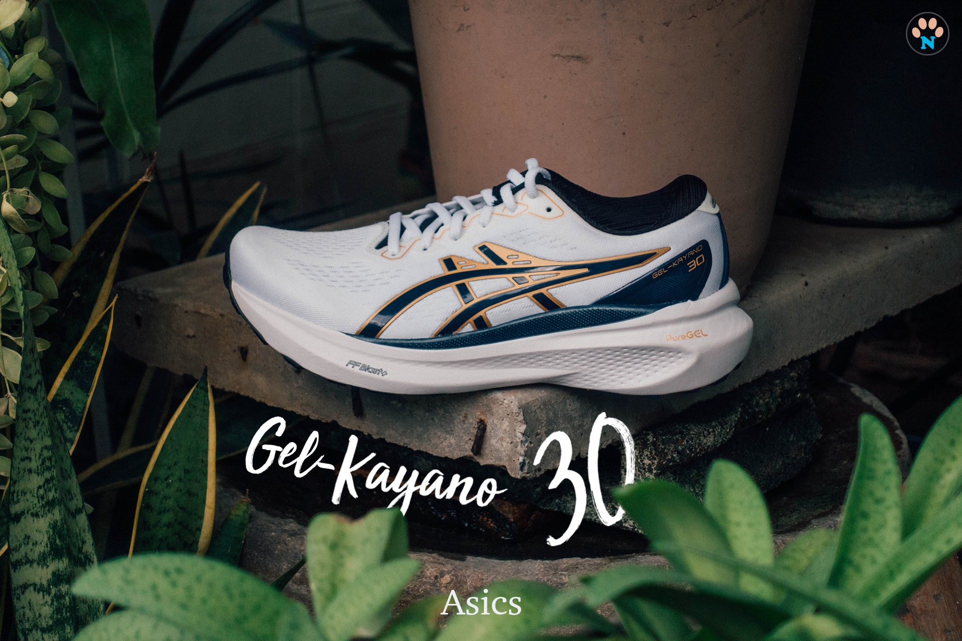 ASICS RA MẮT THIẾT KẾ NÀO, MAXXSPORT CÓ NGAY THIẾT KẾ ĐÓ