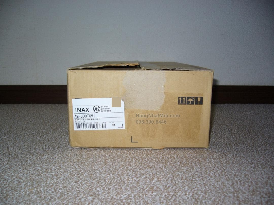 Ảnh thực tế INAX AM-300TCV1 – Thùng sản phẩm INAX AM-300TCV1 với nhãn model.