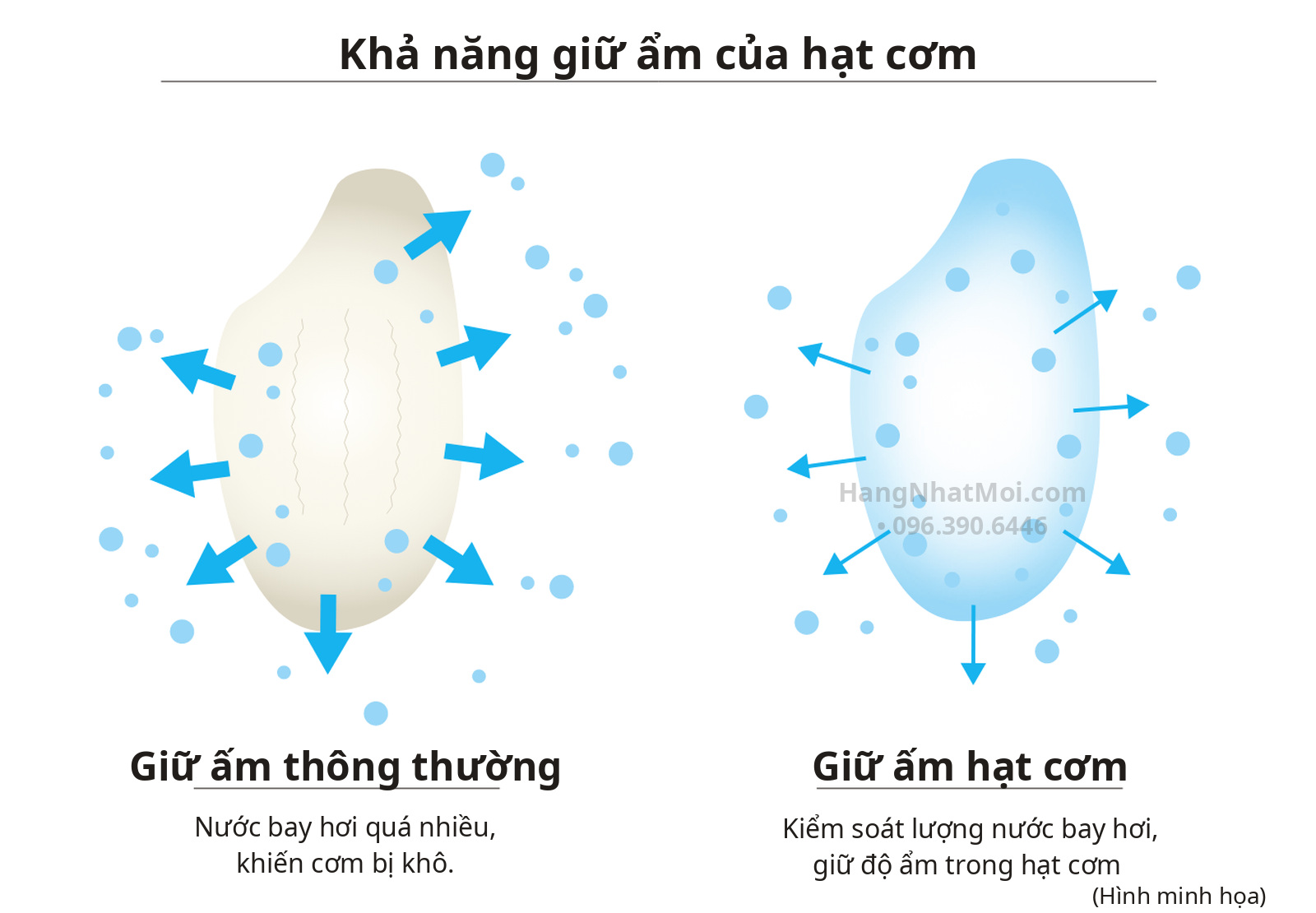 Cơ chế kiểm soát mất nước khi giữ ấm dòng Tiger JRI-A