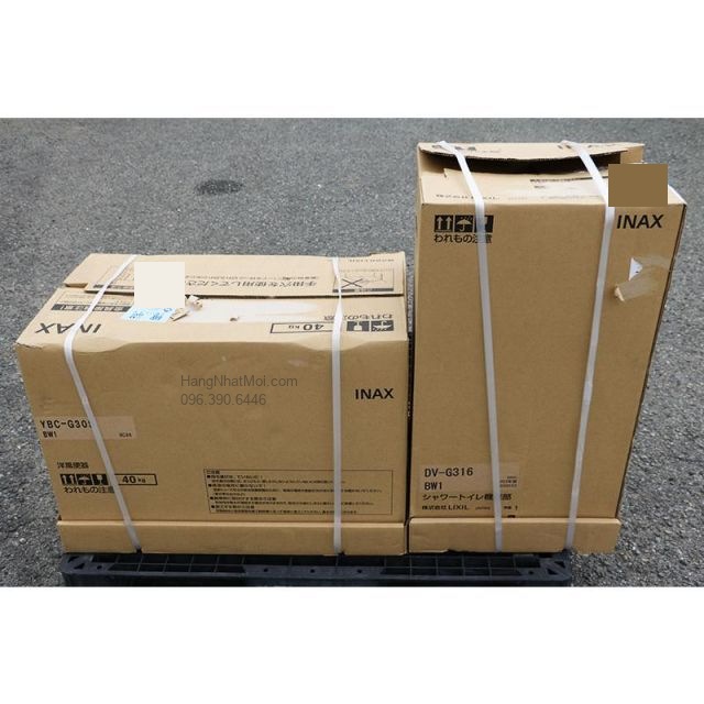 Hai thùng thân sứ YBC-G30S và cụm điện DV-G316 màu trắng BW1 của SATIS G6