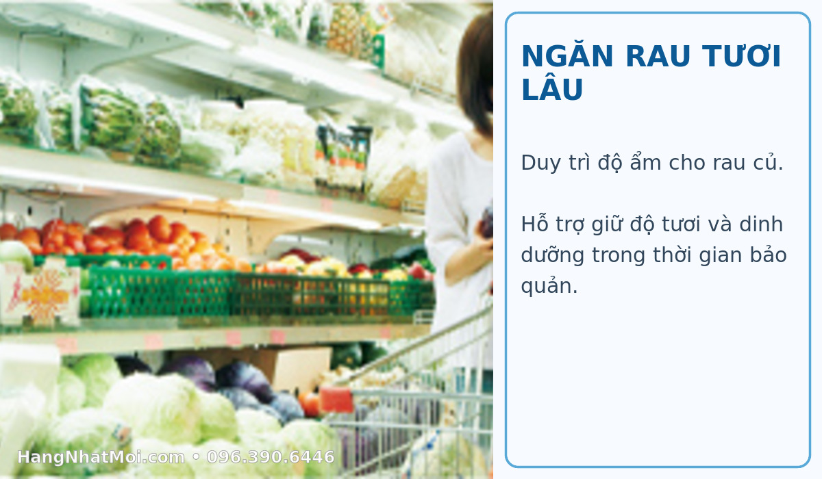 Ngăn rau Asa-dore Mitsubishi MR-WXD70M
