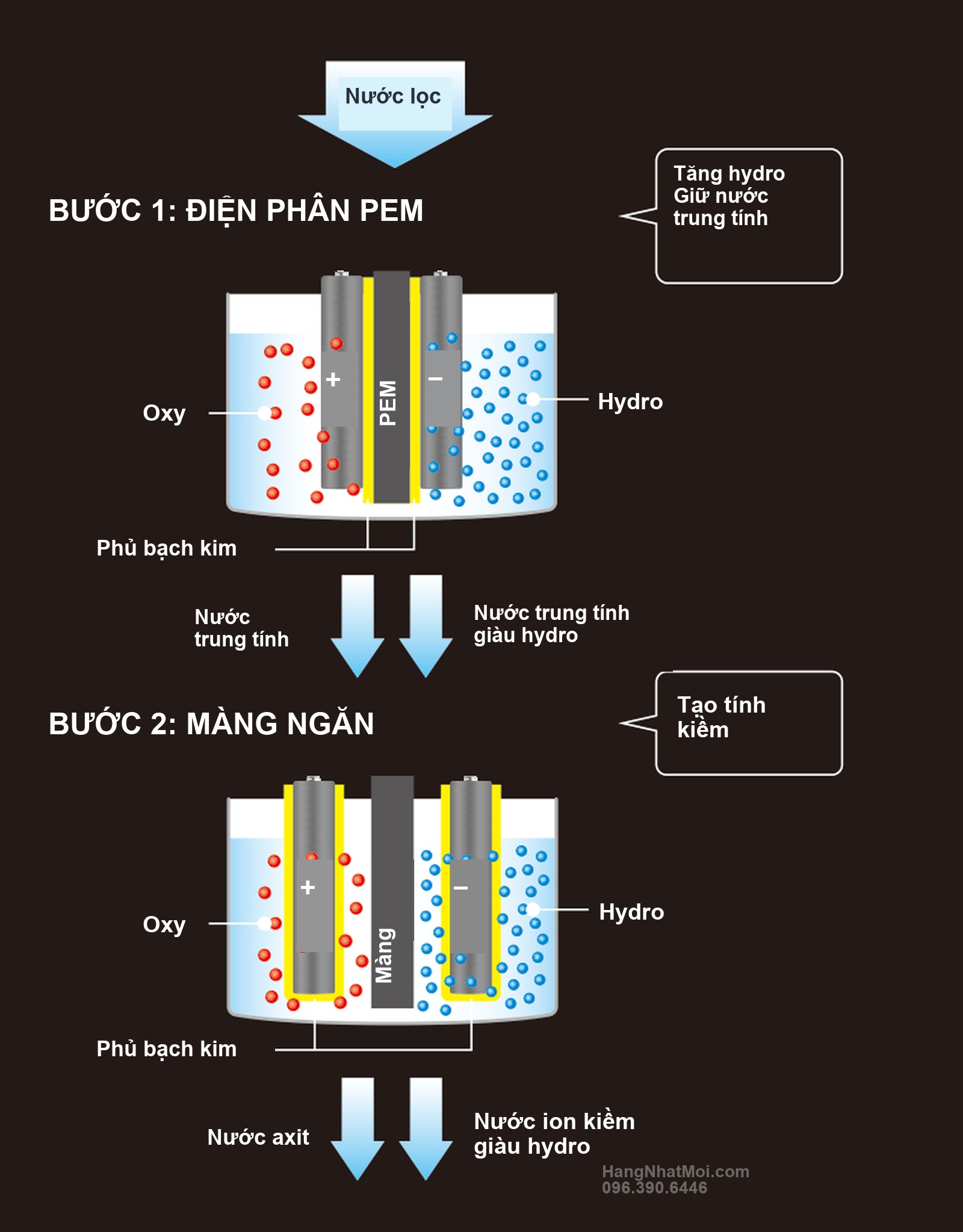 Sơ đồ hệ điện phân kép Hybrid Double của TRIM ION GRACE