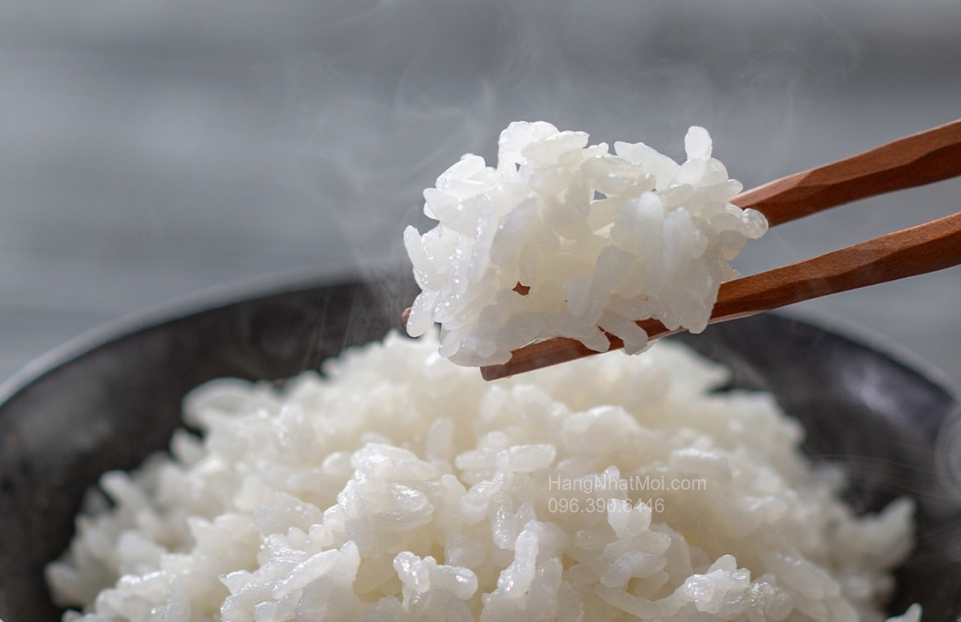 NJ-BW10H – Cơm trắng dùng kèm món kho, món nướng hoặc món rau.