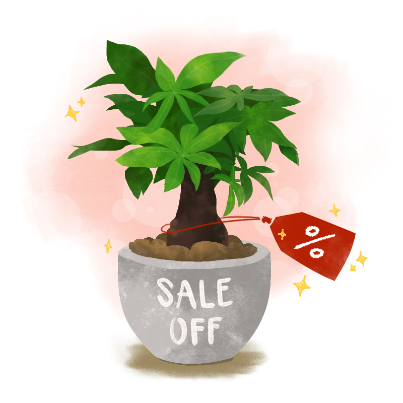 SALE OFF