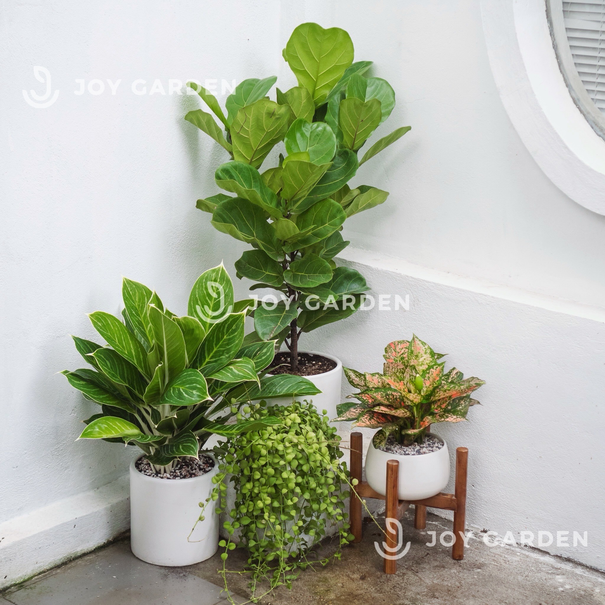 [Combo Ban công] Đủ Đầy