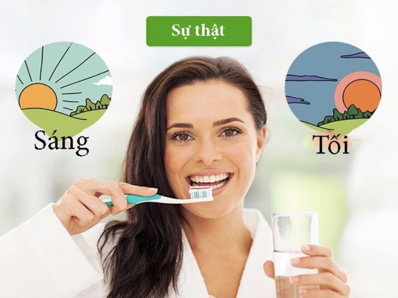 Những thói quen tuyệt vời giúp chăm sóc sức khoẻ răng miệng