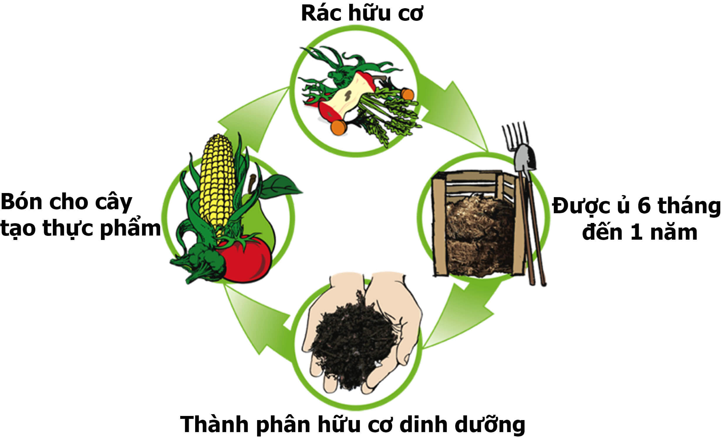 trồng rau bằng rác hữu cơ