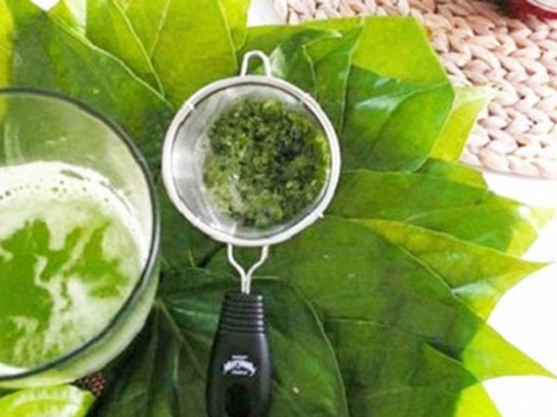 cach tri nam bang la trau khong