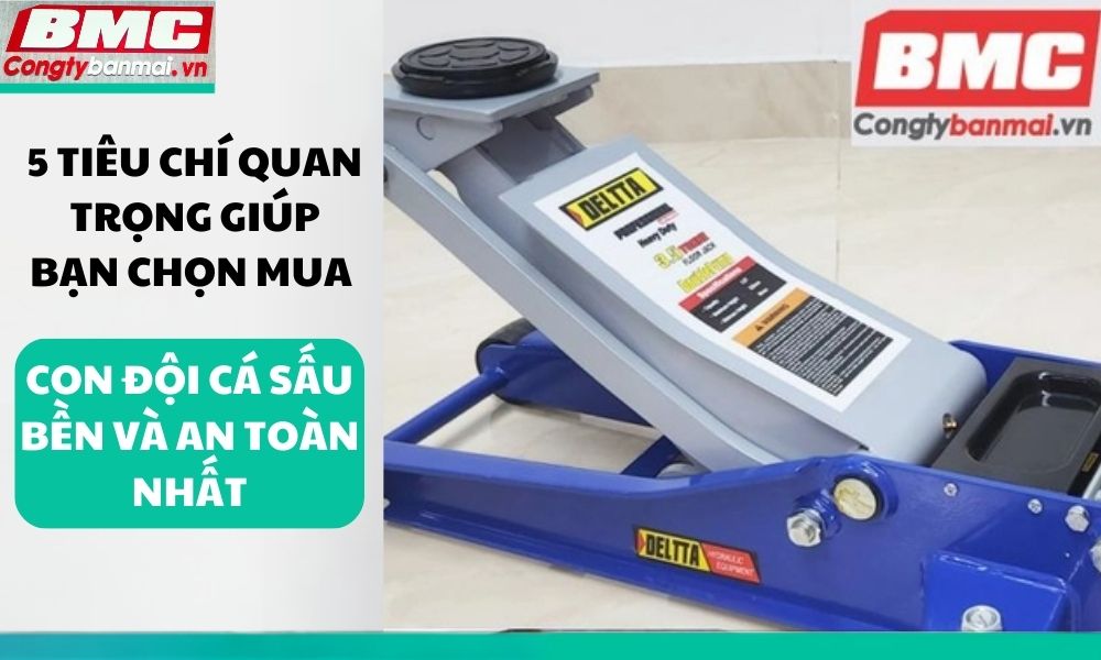 5-tieu-chi-quan-trong-giup-ban-chon-mua-con-doi-ca-sau-ben-va-an-toan-nhat