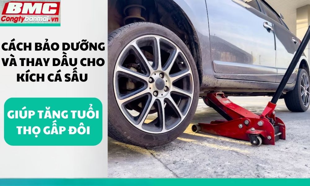 cach-bao-duong-va-thay-dau-cho-kich-ca-sau-giup-tang-tuoi-tho-gap-doi