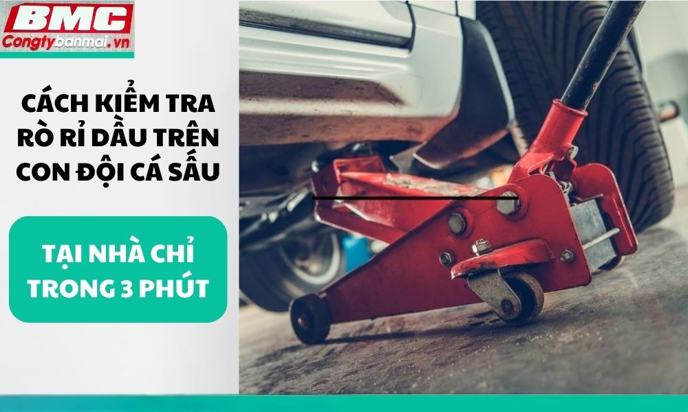 cach-kiem-tra-ro-ri-dau-tren-con-doi-ca-sau-tai-nha-chi-trong-3-phut