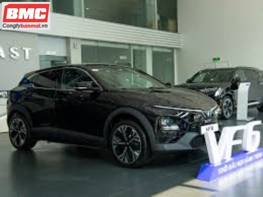 huong-dan-cach-bom-lop-cho-xe-o-to-vinfast-vf6