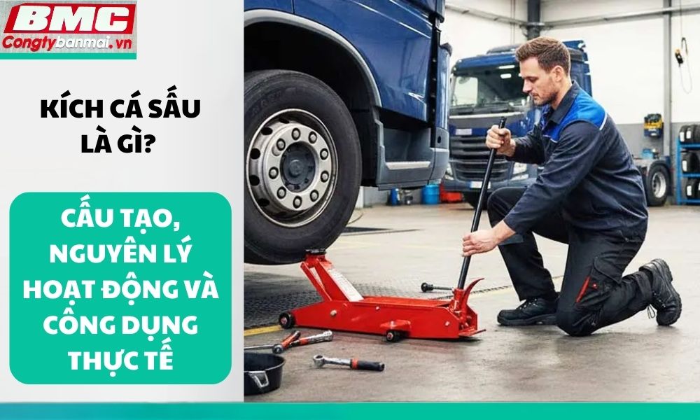 kich-ca-sau-la-gi-cau-tao-nguyen-ly-hoat-dong-va-cong-dung-thuc-te