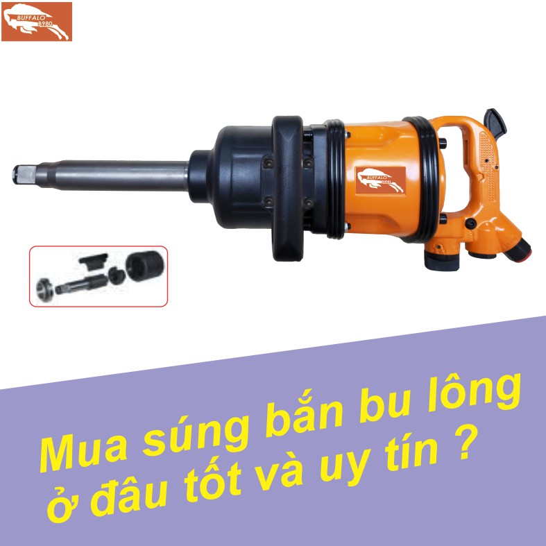 mua-sung-ban-bu-long-hoi-o-dau-tot-nhat