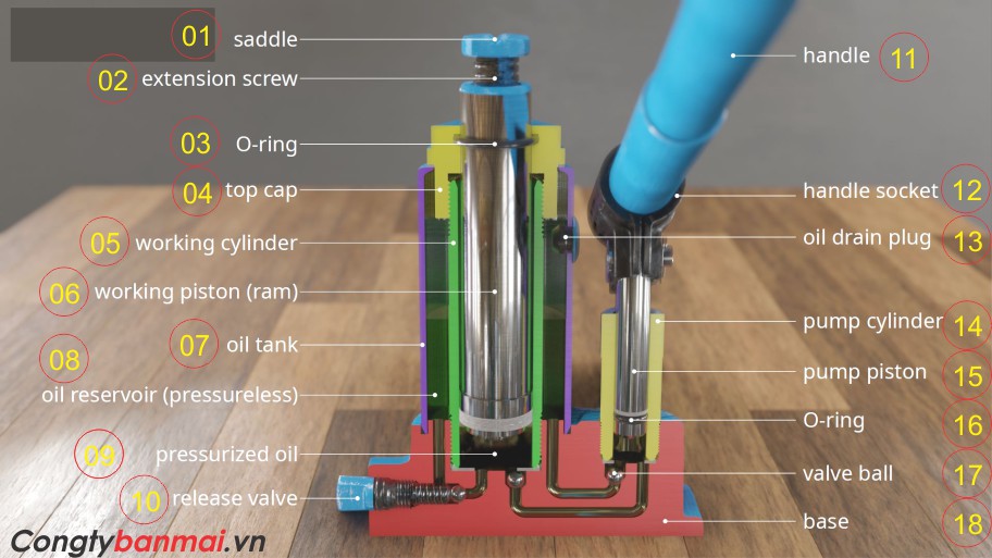 cầu tạo kích thủy lực, cầu tạo kích nâng thủy lực