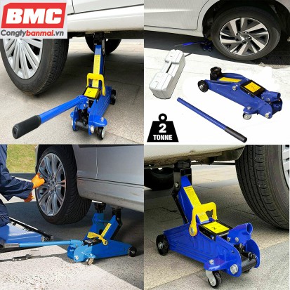 kích đội cá sấu 2 tấn