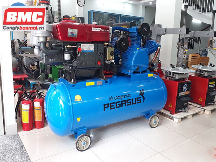 máy nén khí đầu nổ D24 20HP Pegasus TM-w-2.0/12.5-330l/20hp