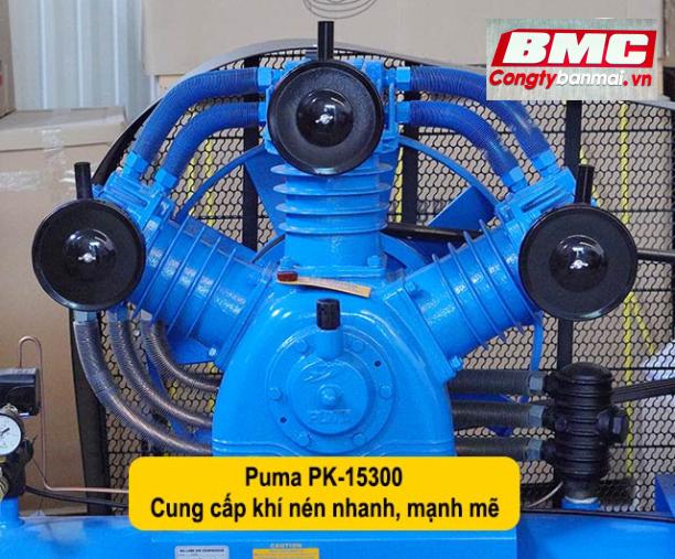 Hình ảnh máy nén khí PUMA 15 HP PK15300
