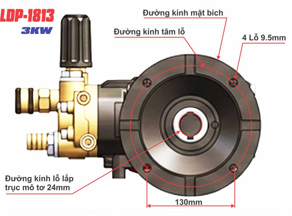 Kích thước đầu bơm cao áp  LDP1813 lắp mô tơ 3kw