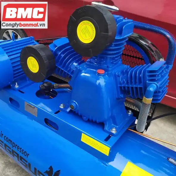 Máy bơm hơi Pegasus TM-W-0.36/12.5-230L(380V)