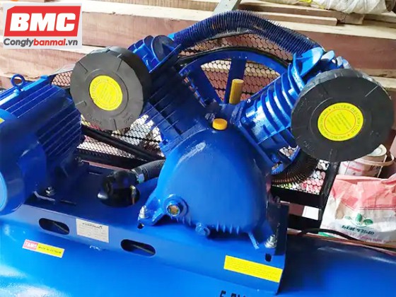 Máy bơm hơi Pegasus TM-W-0.6/8-230L 