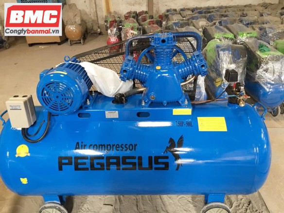 Máy nén khí Pegasus TM-W-0.9/8-500L 