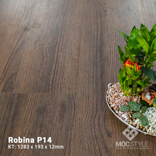 Sàn gỗ Malaysia Robina P14 MỘC STYLE
