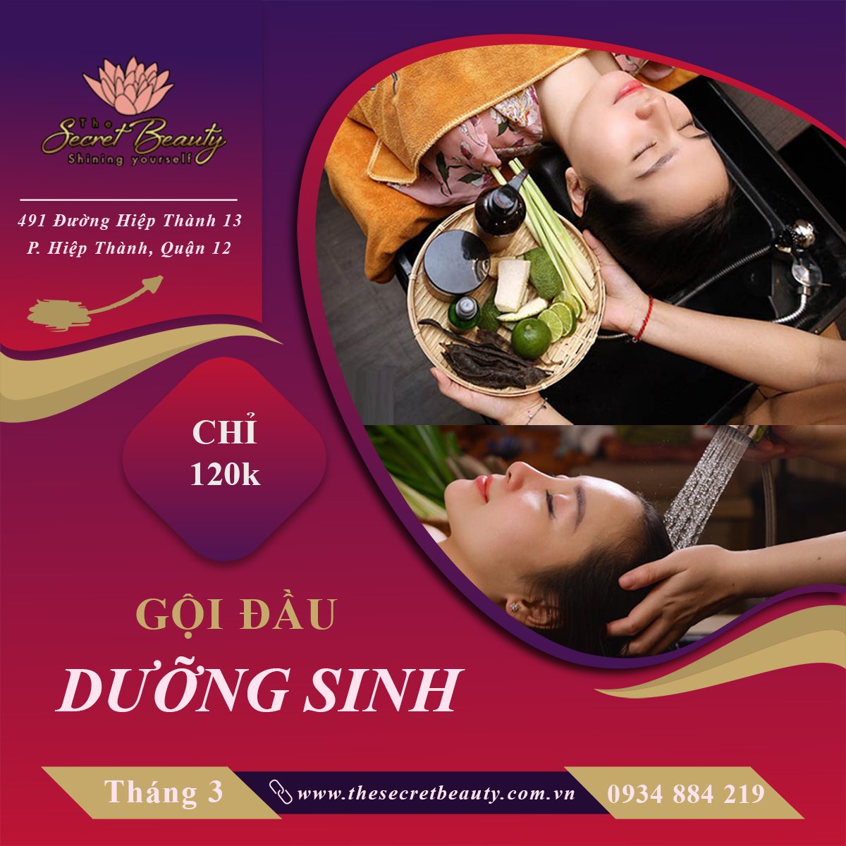 gội đầu dưỡng sinh