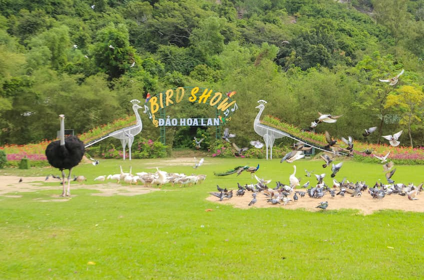 Khám phá Đảo Hoa Lan: Hòn Hèo Nha Trang