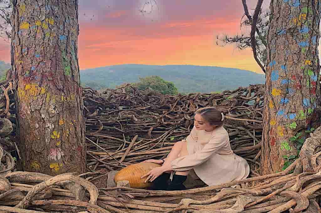 HOA SƠN ĐIỀN TRANG ĐÀ LẠT - ĐỊA ĐIỂM CHECK IN HOTHIT